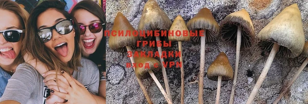 apvp Козельск